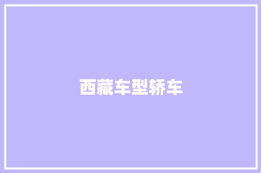 西藏车型轿车
