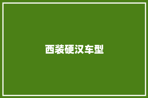 西装硬汉车型