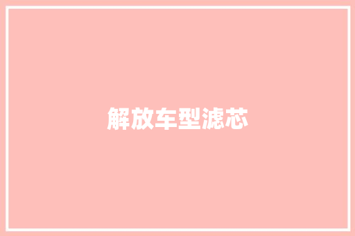 解放车型滤芯