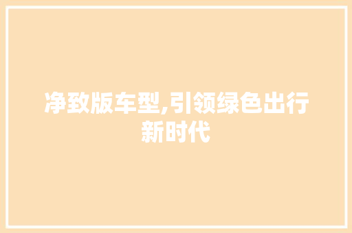 净致版车型,引领绿色出行新时代