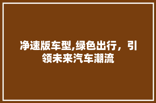 净速版车型,绿色出行，引领未来汽车潮流