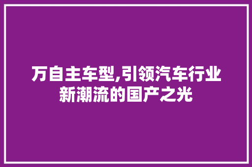 万自主车型,引领汽车行业新潮流的国产之光