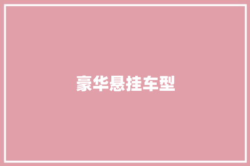 豪华悬挂车型