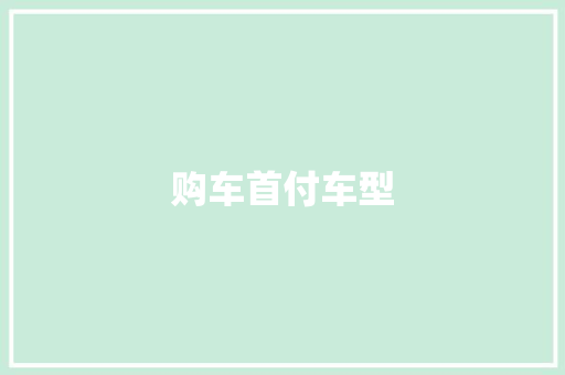 购车首付车型