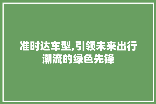 准时达车型,引领未来出行潮流的绿色先锋