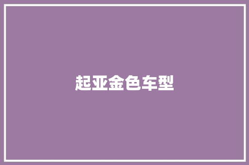起亚金色车型 变速箱配件