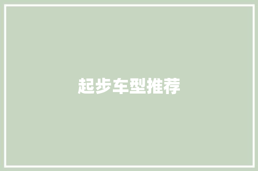 起步车型推荐