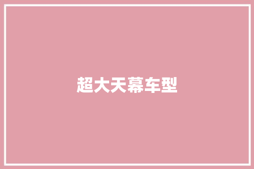 超大天幕车型