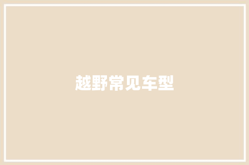 越野常见车型