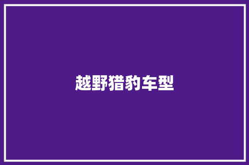 越野猎豹车型