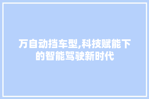 万自动挡车型,科技赋能下的智能驾驶新时代