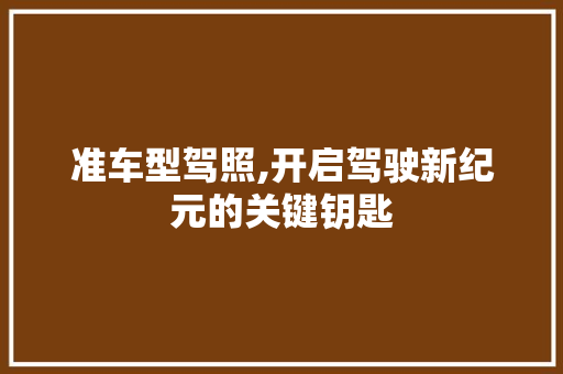 准车型驾照,开启驾驶新纪元的关键钥匙