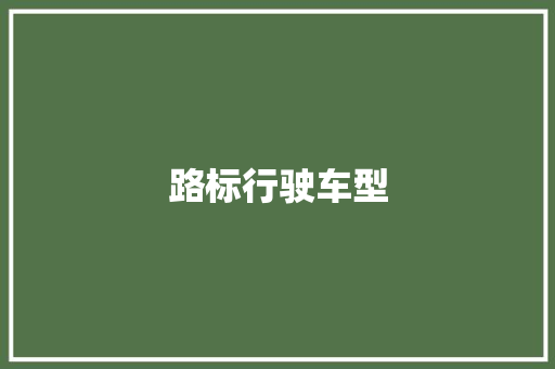 路标行驶车型