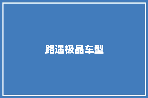 路遇极品车型