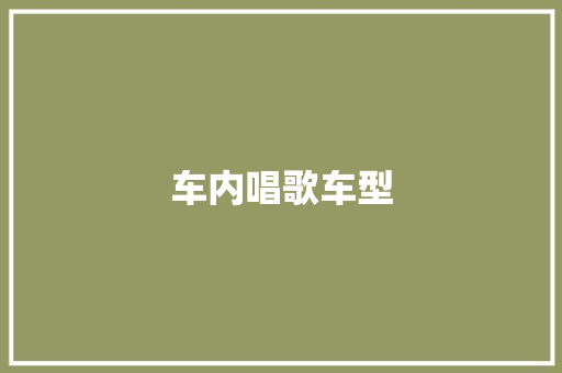 车内唱歌车型