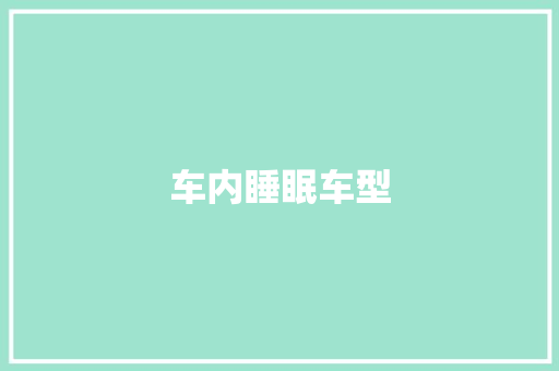 车内睡眠车型