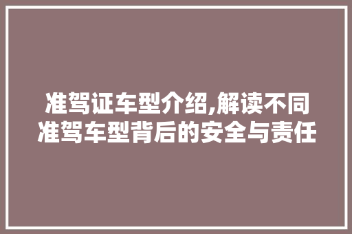 准驾证车型介绍,解读不同准驾车型背后的安全与责任