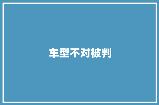 车型不对被判