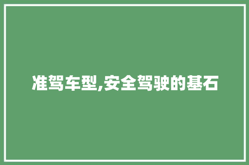 准驾车型,安全驾驶的基石