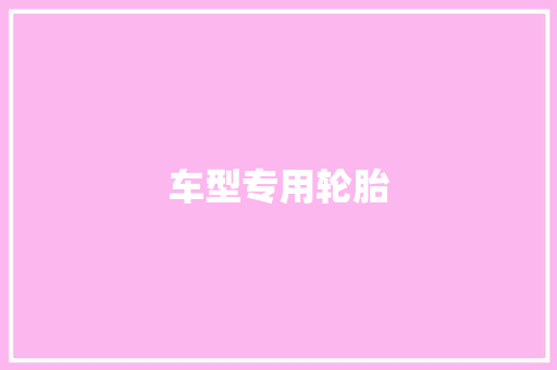 车型专用轮胎