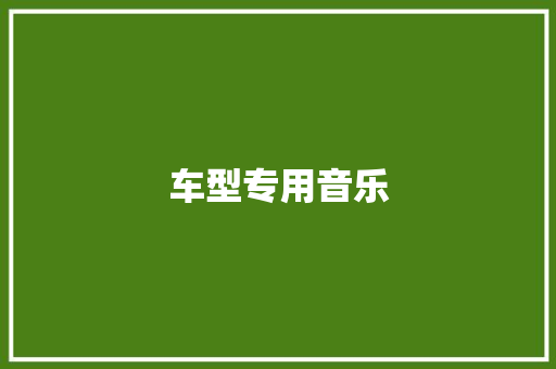 车型专用音乐