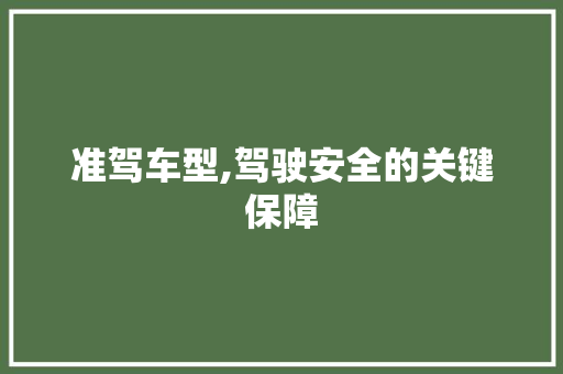 准驾车型,驾驶安全的关键保障