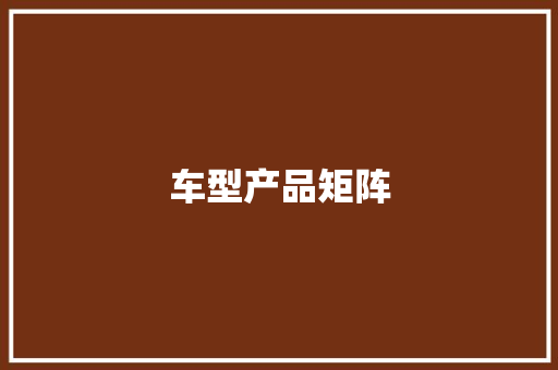 车型产品矩阵