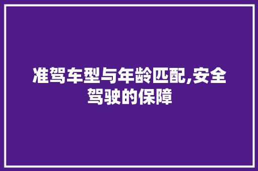 准驾车型与年龄匹配,安全驾驶的保障