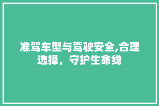 准驾车型与驾驶安全,合理选择，守护生命线