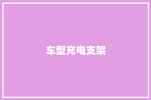 车型充电支架