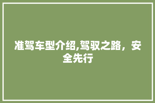 准驾车型介绍,驾驭之路，安全先行