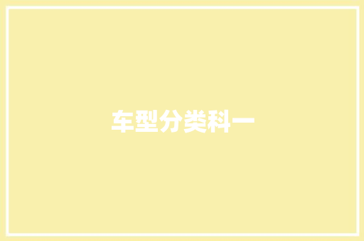 车型分类科一
