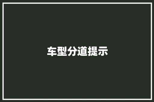 车型分道提示