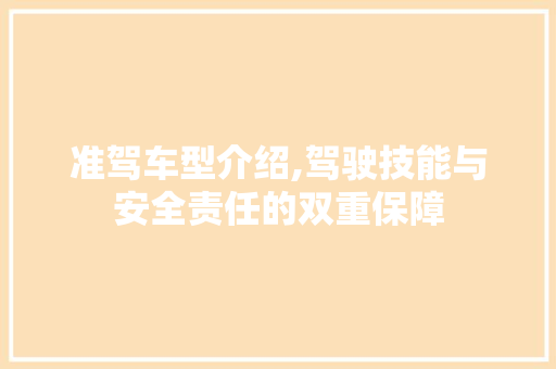 准驾车型介绍,驾驶技能与安全责任的双重保障