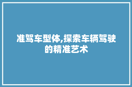 准驾车型体,探索车辆驾驶的精准艺术