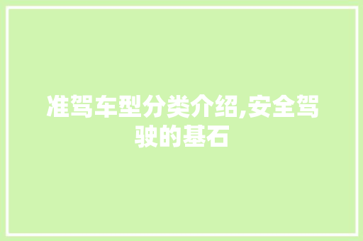 准驾车型分类介绍,安全驾驶的基石