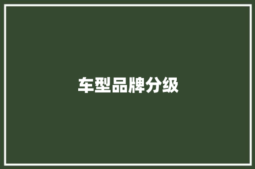 车型品牌分级