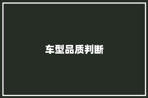 车型品质判断