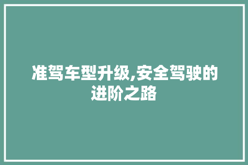 准驾车型升级,安全驾驶的进阶之路