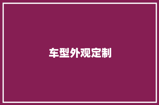 车型外观定制