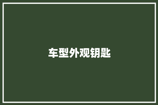 车型外观钥匙