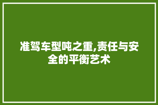 准驾车型吨之重,责任与安全的平衡艺术
