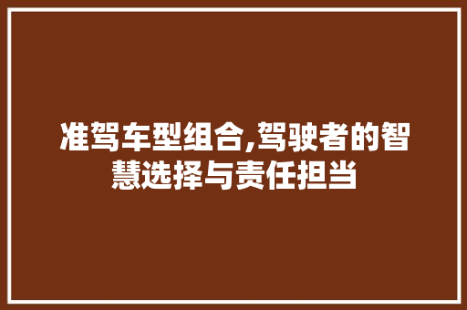 准驾车型组合,驾驶者的智慧选择与责任担当