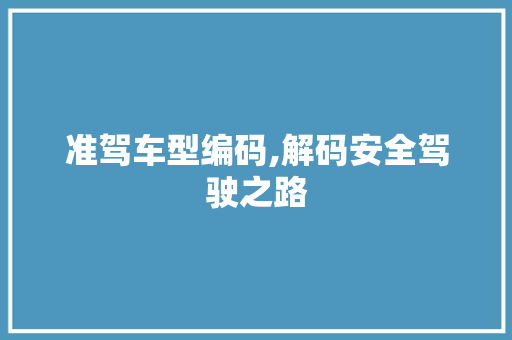 准驾车型编码,解码安全驾驶之路