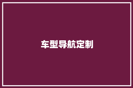 车型导航定制