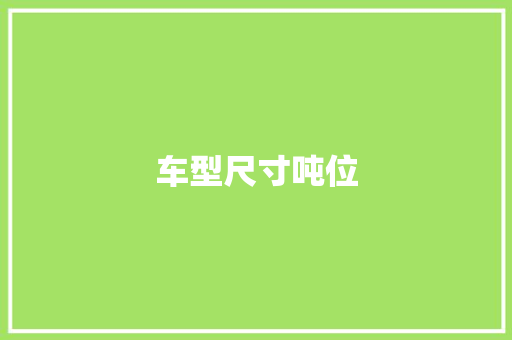 车型尺寸吨位