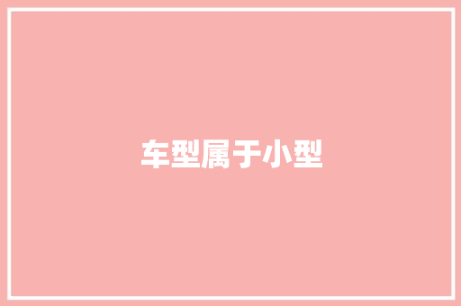 车型属于小型