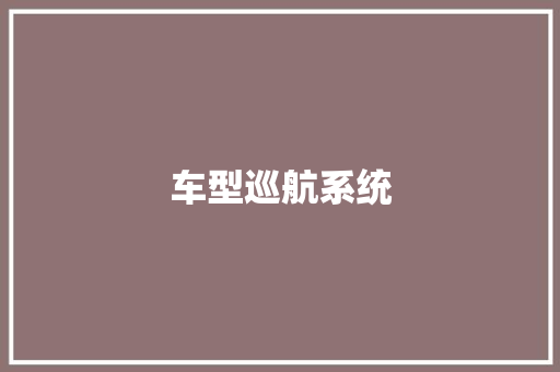 车型巡航系统