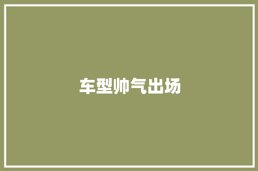 车型帅气出场