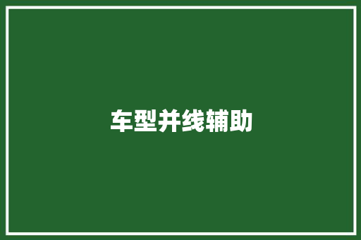 车型并线辅助